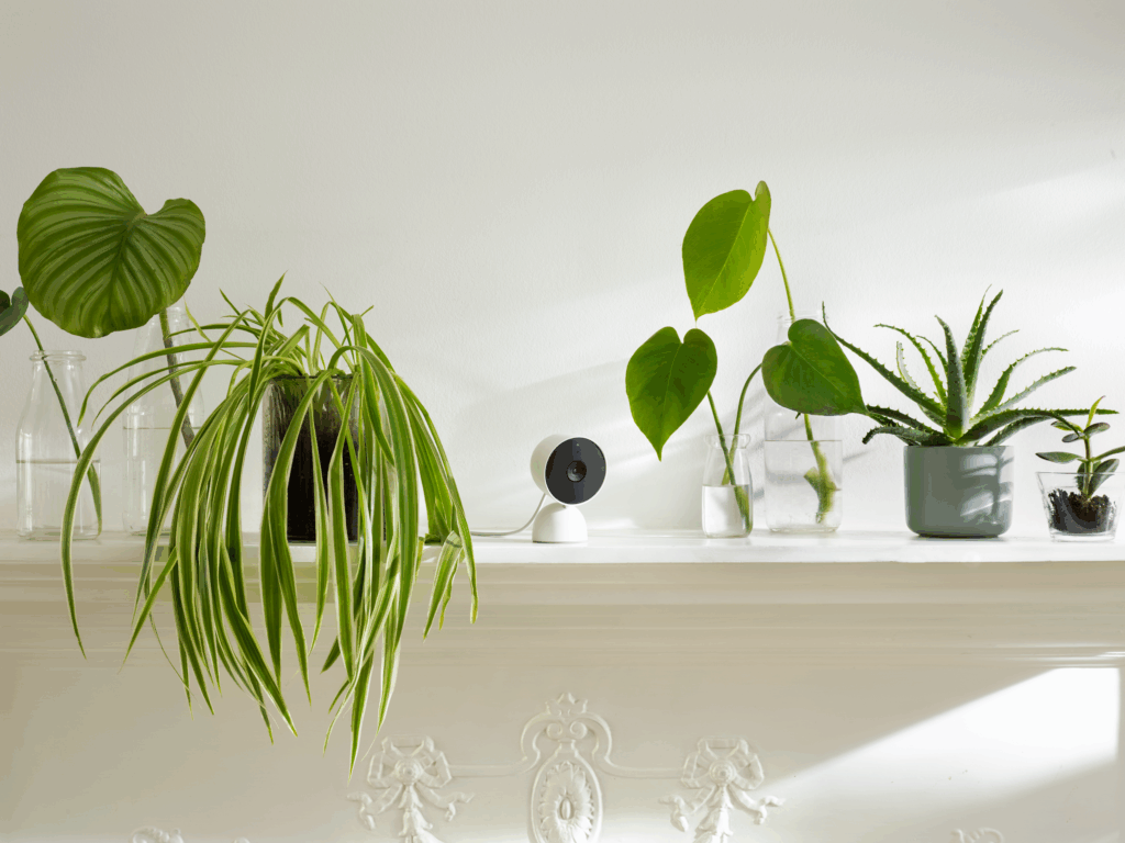 Indoor security cameras for home