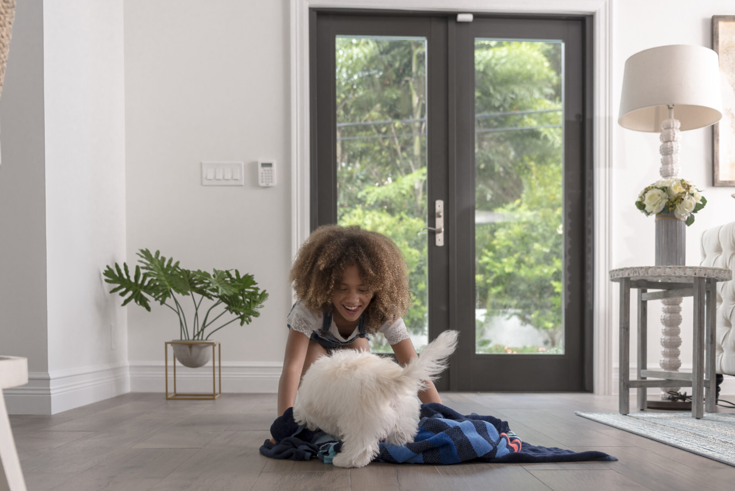 kids and pets video monintoring