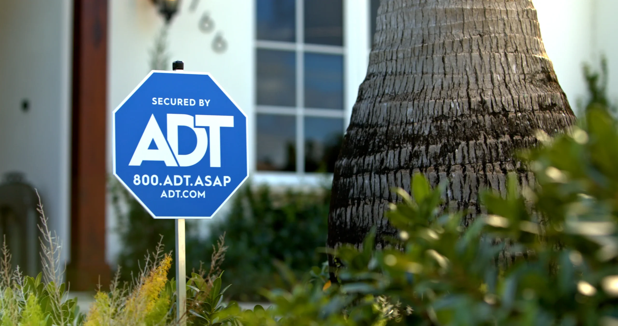 Local ADT team